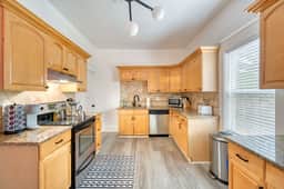 NE Beech (317) Small