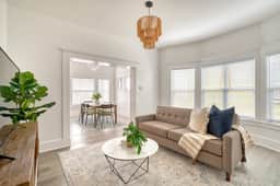 NE Beech (315)