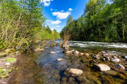 E Barlow Trail (69280)