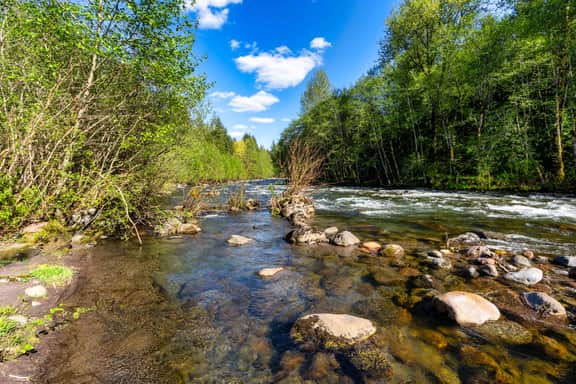 E Barlow Trail (69280)