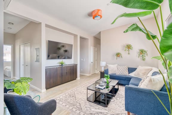 SE 19th [Asylum] 305 (1428)