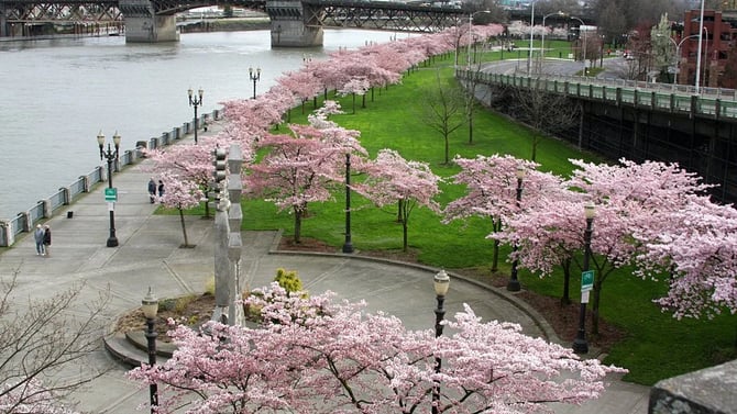 The Best Parks to Visit in Portland Oregon
